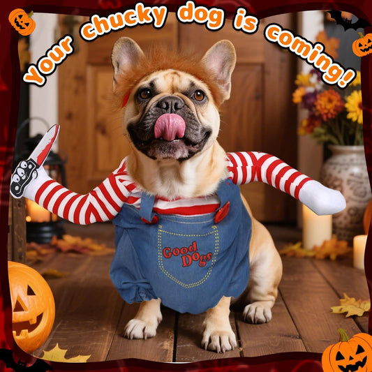 Small dog dressed in Chucky Halloween costume standing indoors with pumpkin decoration β funny cosplay pet outfit.