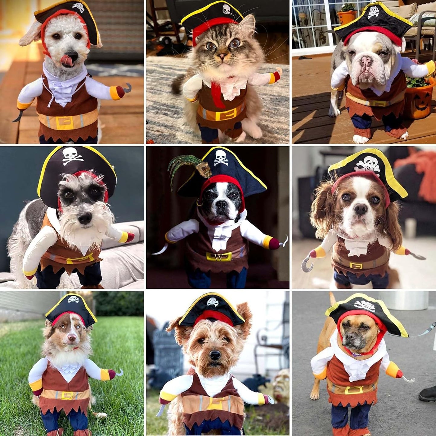 Pirate Dog Costume
