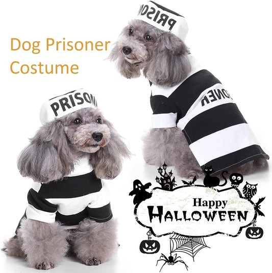 Small dog wearing Prisoner Dog Costume with black and white striped outfit and matching hat β funny Halloween pet outfit.