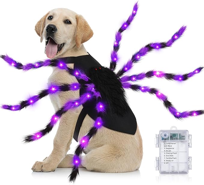 Dog Spider Costume