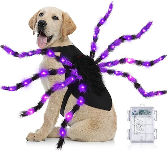 Dog in Halloween spider costume with purple LED spider legs β glowing cosplay outfit for pets