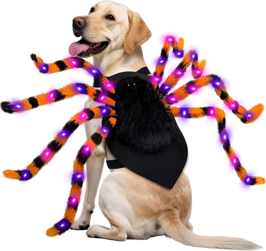 Dog Spider Costume