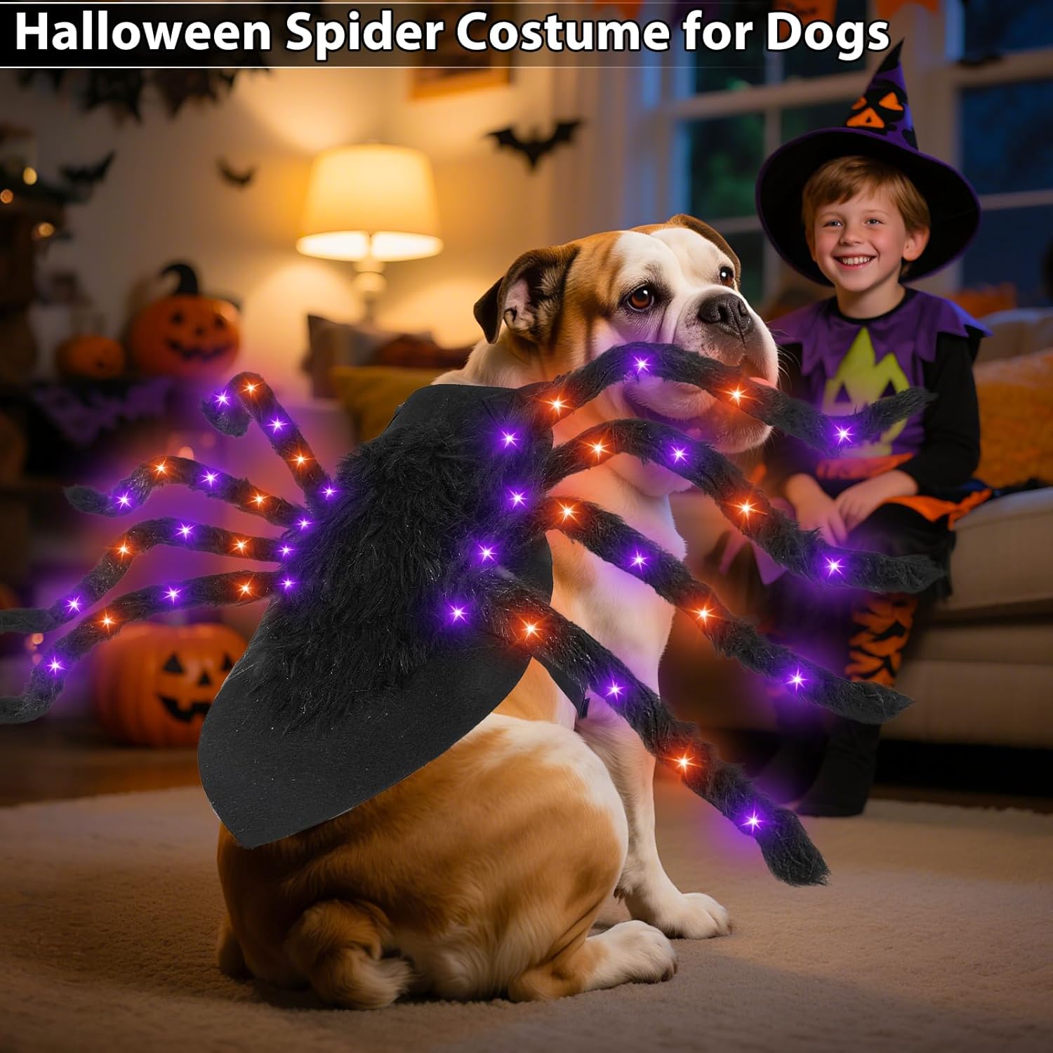 Dog Spider Costume