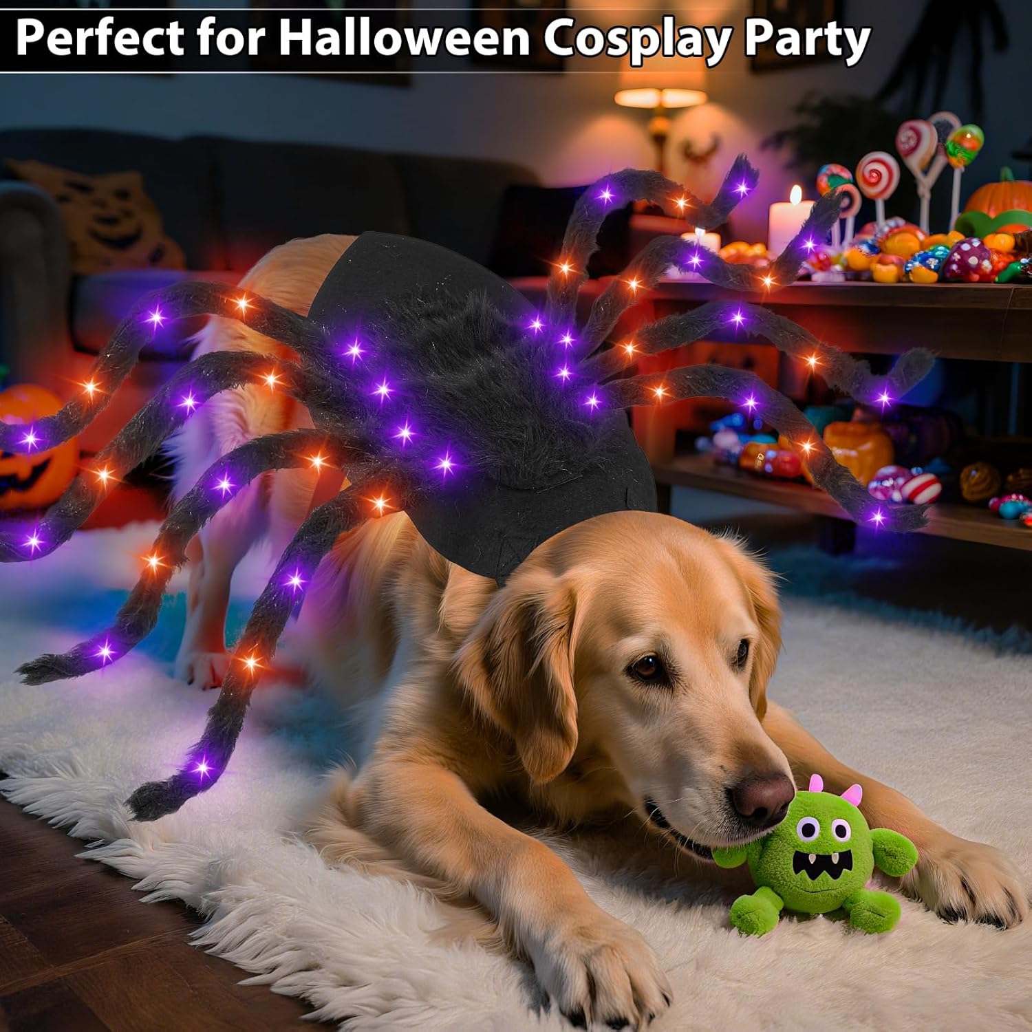 Dog Spider Costume