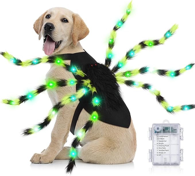 Dog Spider Costume