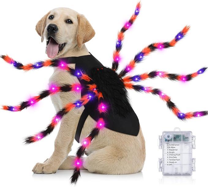 Dog Spider Costume