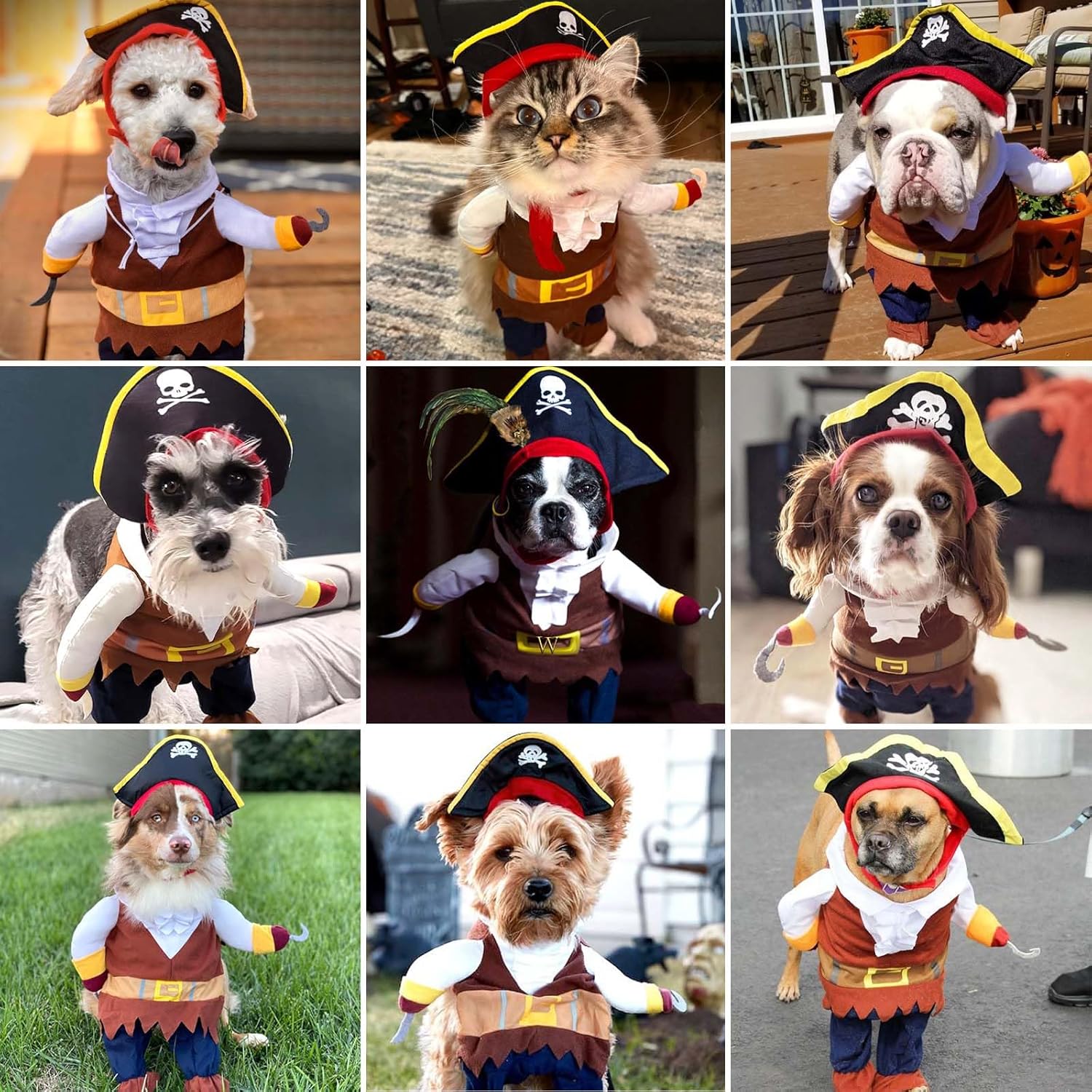 Pirate Dog Costume