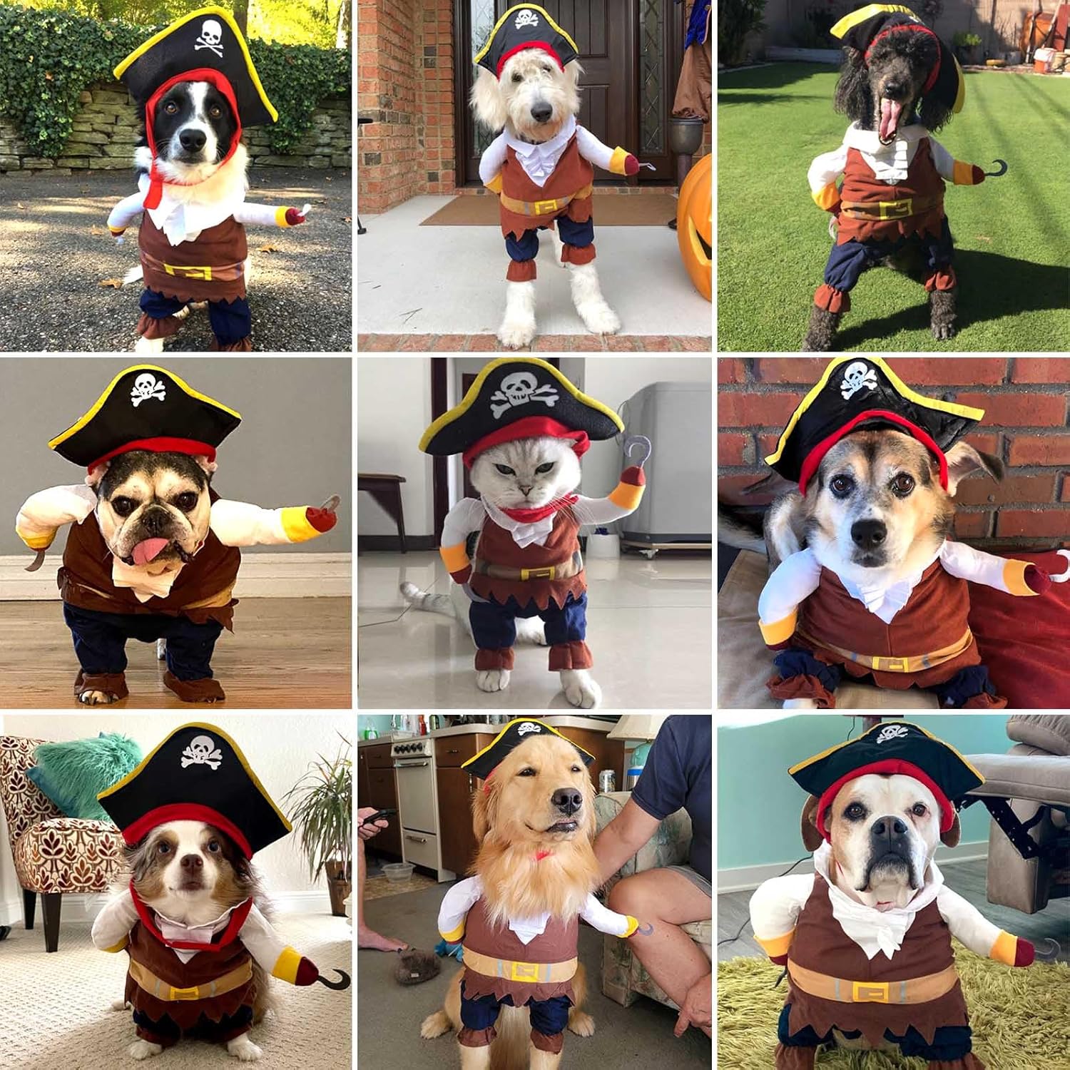 Pirate Dog Costume