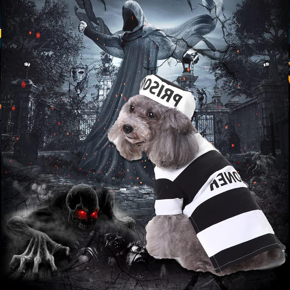 Prisoner Dog Costume