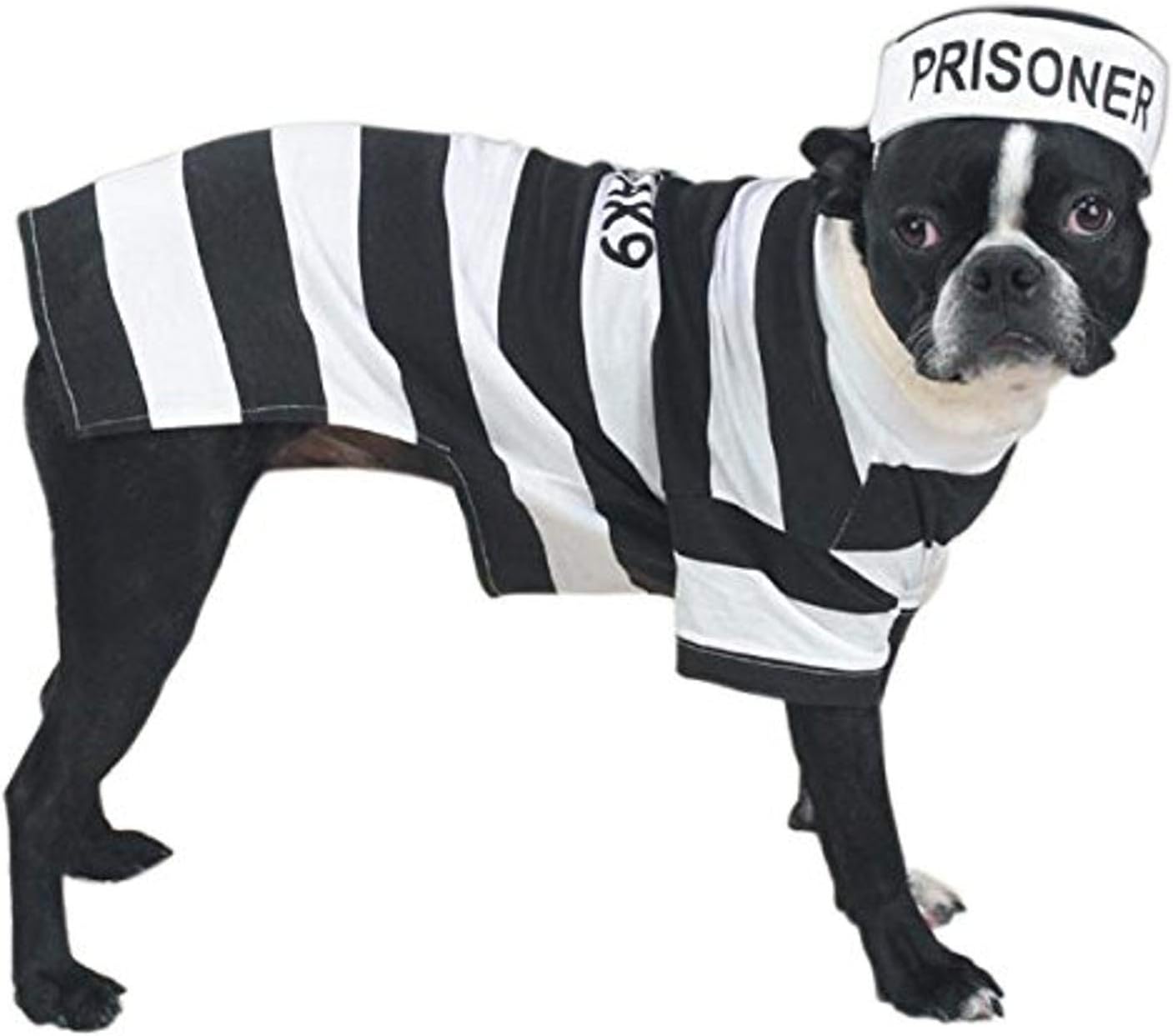 Prisoner Dog Costume