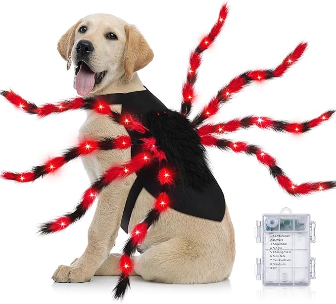 Dog Spider Costume