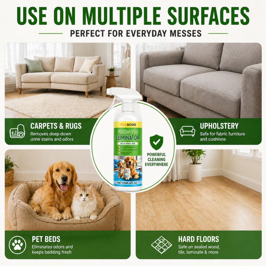 Enzyme cleaner spray safe for carpets upholstery pet beds and hard floors