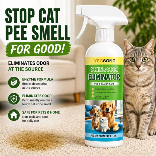 Cat urine enzyme cleaner spray removing odor permanently from carpet