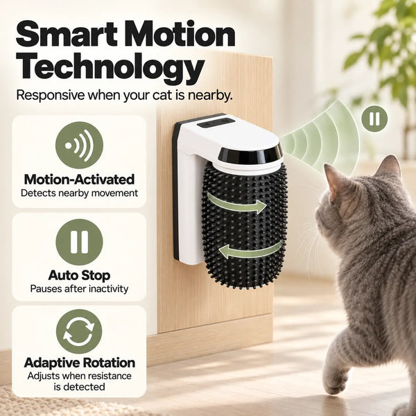 Gray cat approaching a motion-activated automatic grooming brush with auto-stop and adaptive rotation features